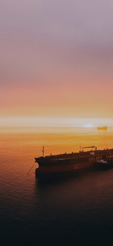 品质成就未来，创新引领行业